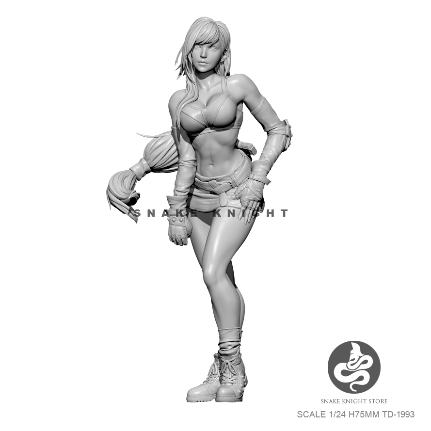 1/24 zestawy żywiczne rysunek  – Model Kit Galahad recenzja i cena