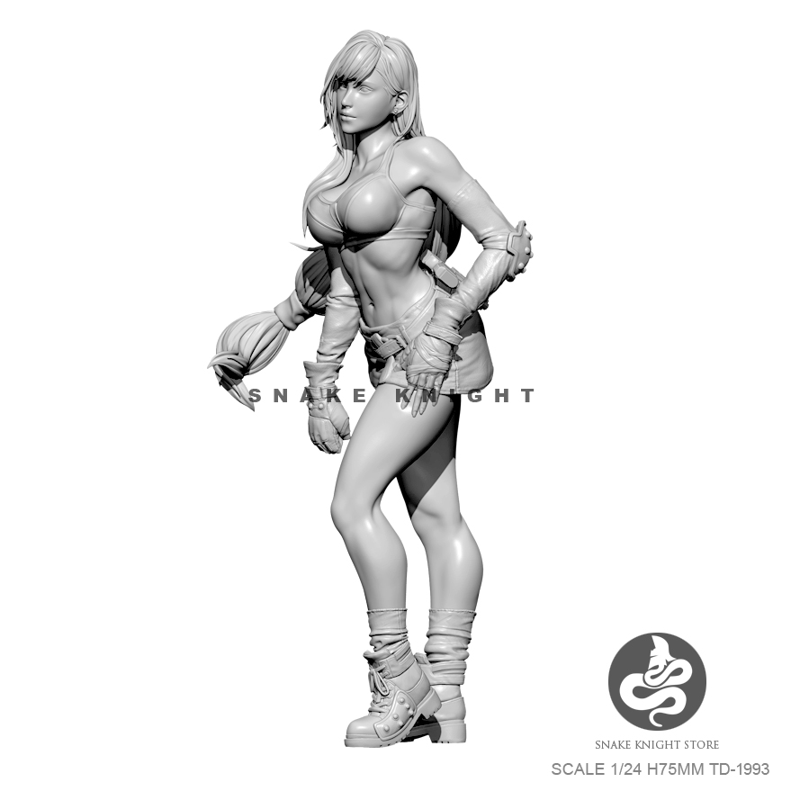 1/24 zestawy żywiczne rysunek  – Model Kit Galahad recenzja i cena