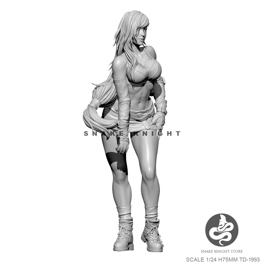 1/24 zestawy żywiczne rysunek  – Model Kit Galahad recenzja i cena