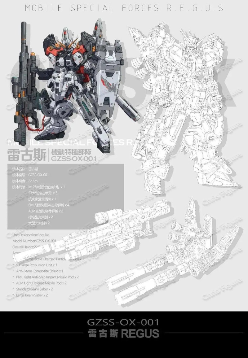 Dostępny od ręki ZZA REGUS GZS – Model Kit Zza recenzja i cena