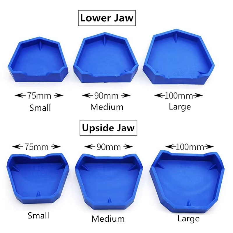 6 sztuk/zestaw Model dentystyc – Model Kit Tools recenzja i cena